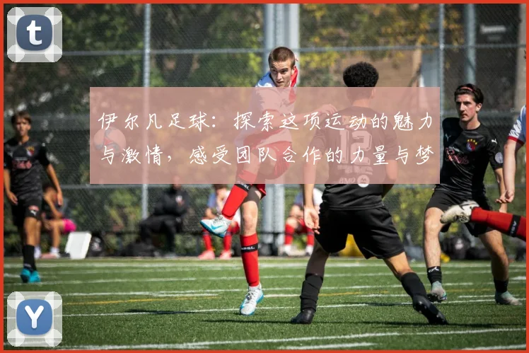 伊尔凡足球：探索这项运动的魅力与激情，感受团队合作的力量与梦想的追逐